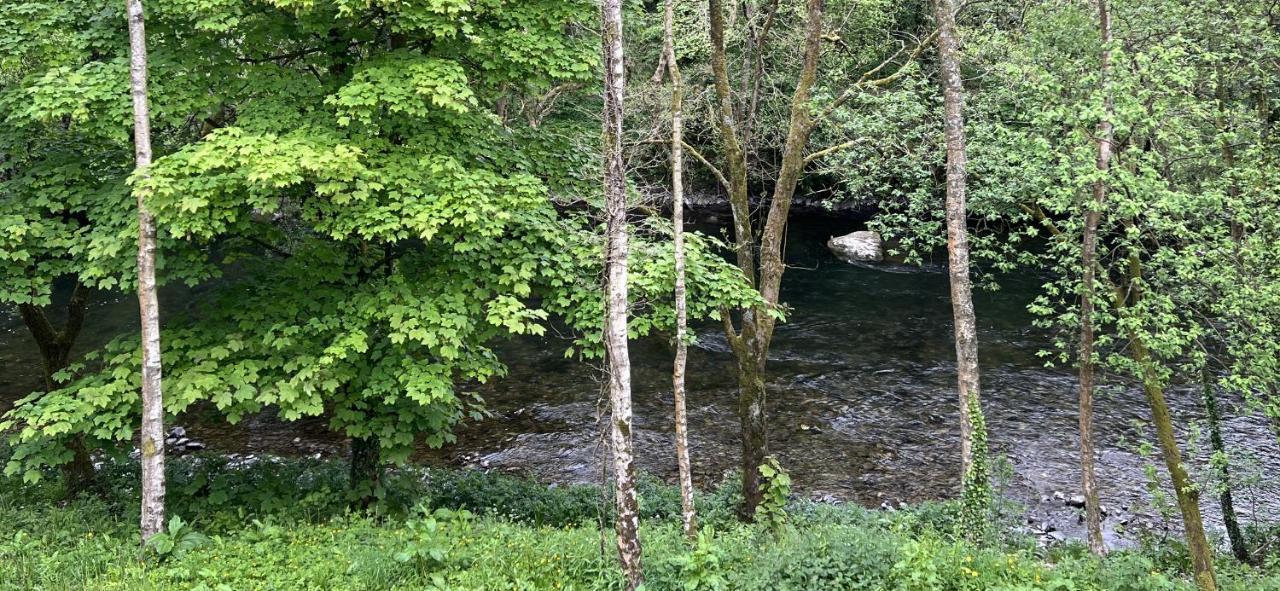 River Vista Retreat - Luxury Duplex - Views - Parking - Cycle Storage - Access Option Backbarrow